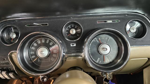 Ford Mustang image 8