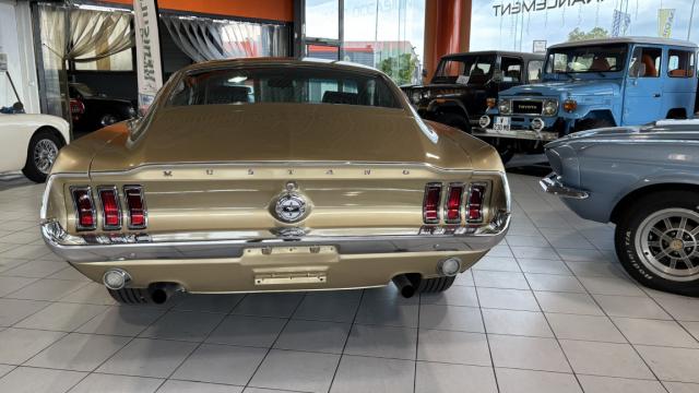 Ford Mustang image 9