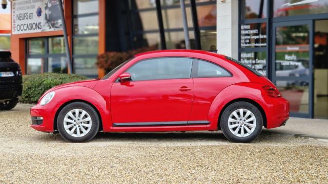Volkswagen Beetle image 2