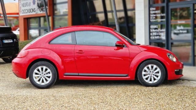Volkswagen Beetle image 8