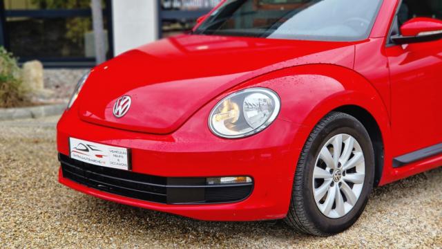 Volkswagen Beetle image 1