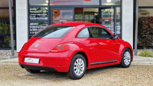 Volkswagen Beetle image 9