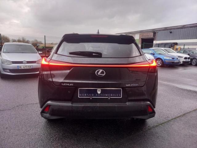 Lexus Ux image 6